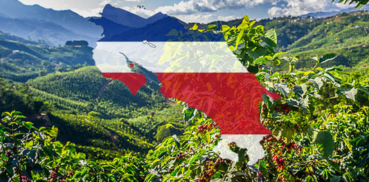 Costa Rica Coto Brus